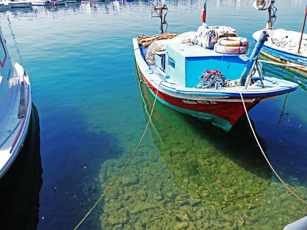 Assos Hotel Εξωτερικό φωτογραφία